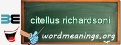 WordMeaning blackboard for citellus richardsoni